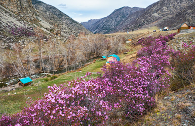 Similar image 21020474