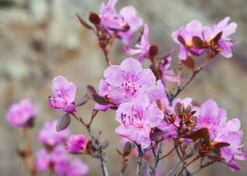 Similar image 21020477