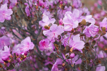 Similar image 21020478