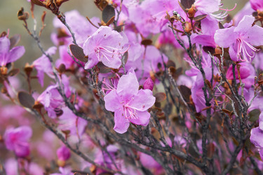 Similar image 21020479