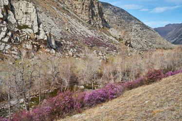 Similar image 21020480