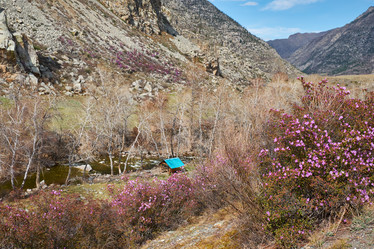 Similar image 21020481