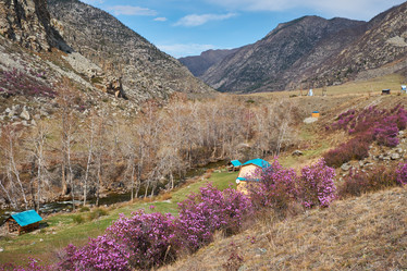 Similar image 21020482