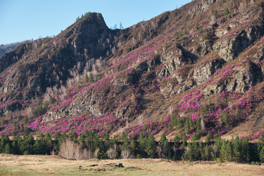 Similar image 21020262