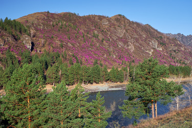 Similar image 21020271