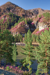 Similar image 21020272