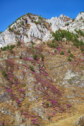 Similar image 21020274