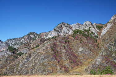 Similar image 21020275