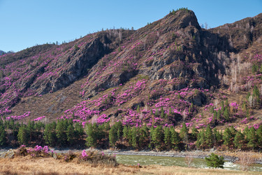 Similar image 21020276