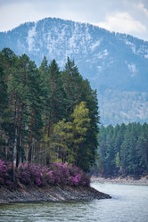 Similar image 21020279