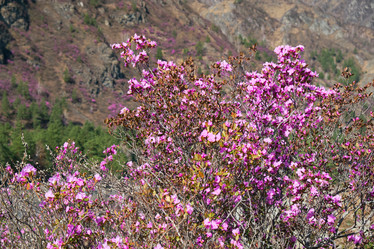 Similar image 21020280