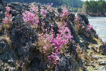 Similar image 21020282