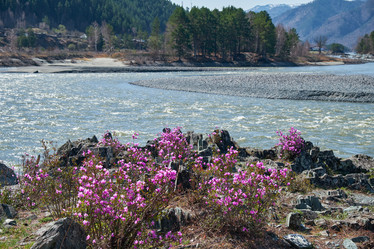 Similar image 21020283