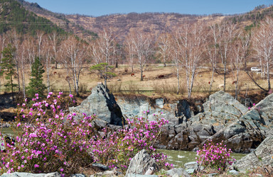 Similar image 21020285