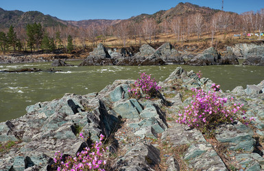 Similar image 21020286