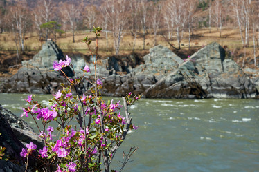 Similar image 21020287