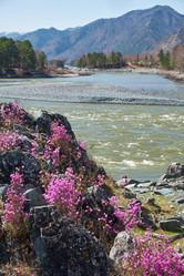 Similar image 21020289