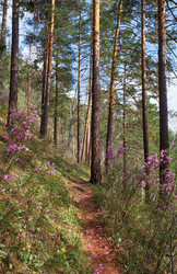 Similar image 21020292