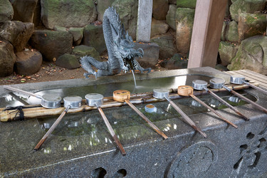 Similar image 21020297