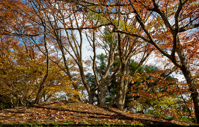 Similar image 21020306