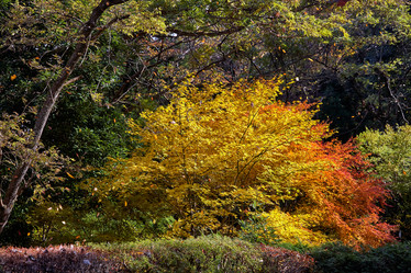 Similar image 21020309