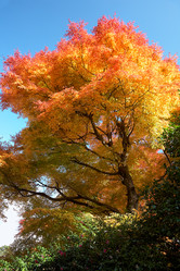 Similar image 21020310