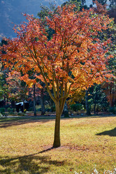 Similar image 21020311