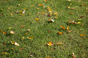 Similar image 21020485