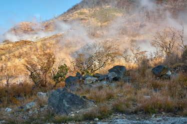 Similar image 21020492