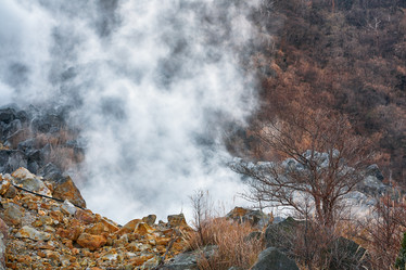 Similar image 21020493