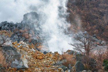 Similar image 21020496