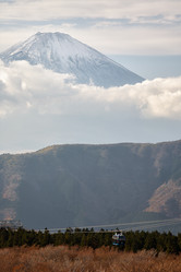 Similar image 21020503