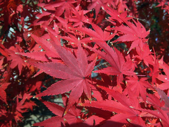 Similar image 21020323