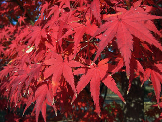 Similar image 21020324