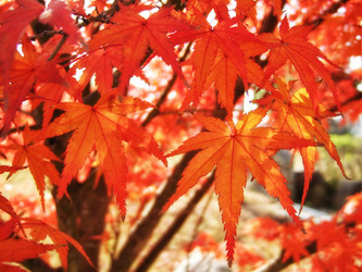 Similar image 21020327