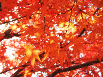 Similar image 21020328