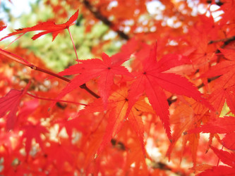 Similar image 21020332