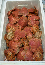 Similar image 21020355