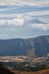 Similar image 21020367