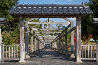 Similar image 21020382