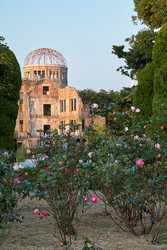 Similar image 21020386