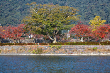 Similar image 21020406