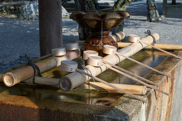 Similar image 21020519