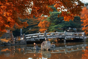 Similar image 21020522