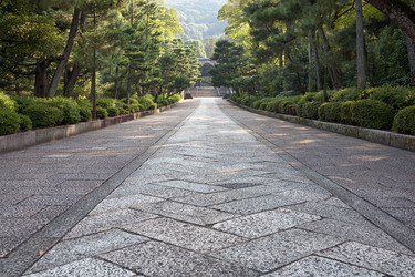 Similar image 21020526