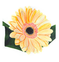 Similar image 20991958