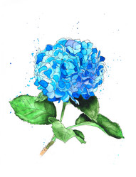 Similar image 20991919