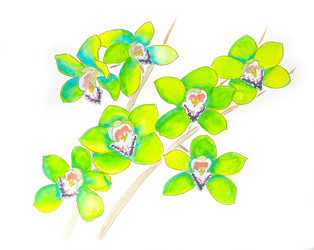 Similar image 20991922