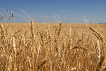 Similar image 20993254