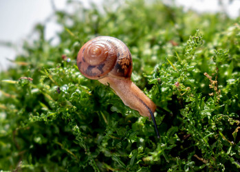 Similar image 20991760